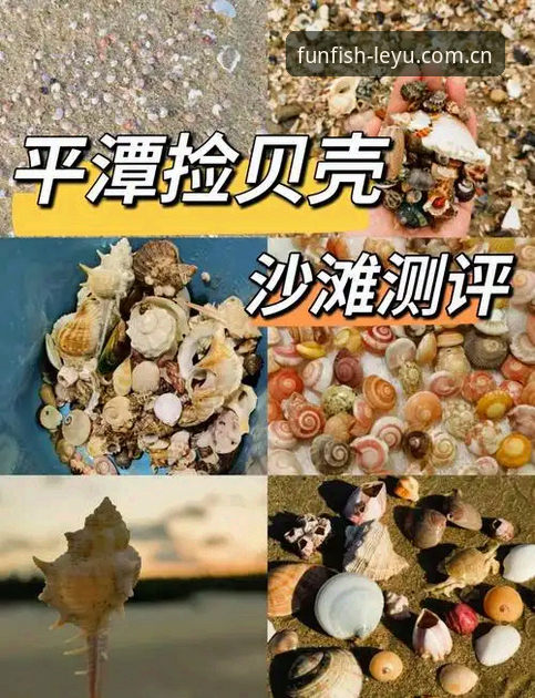 乐鱼官网下载 资深用户亲述:乐鱼官网下载避坑指南与v3.2.1实战体验